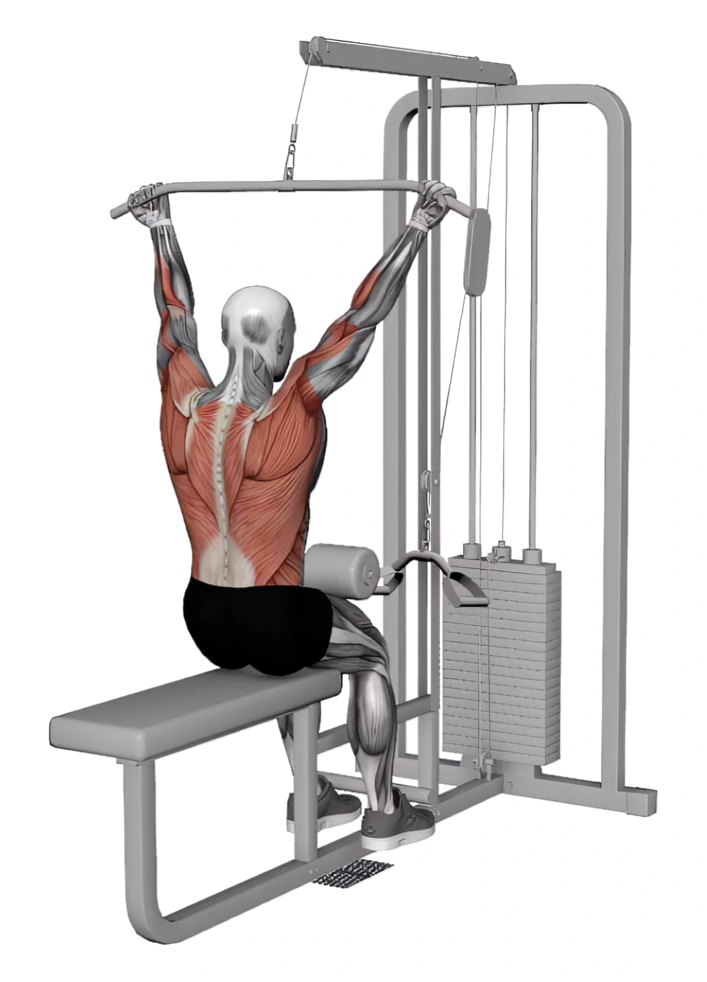Cable Underhand Pulldown Wide Grips &mdash; animated demonstration