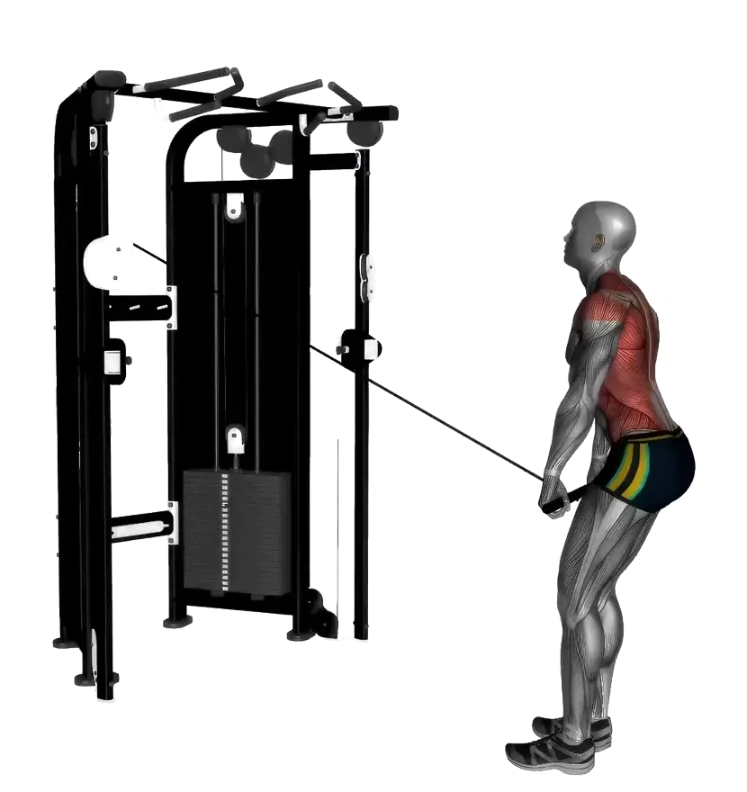 Standing Lat Cable Pull Over &mdash; animated demonstration