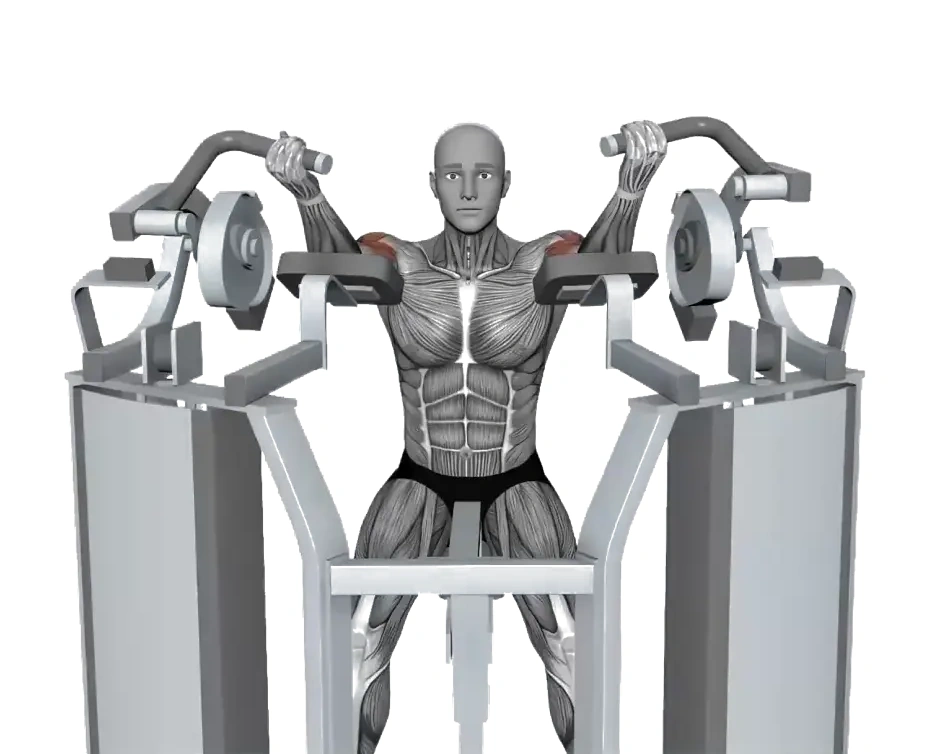 Hammer Strength MTS Iso-Lateral Biceps Curl Both Arm — animated demonstration