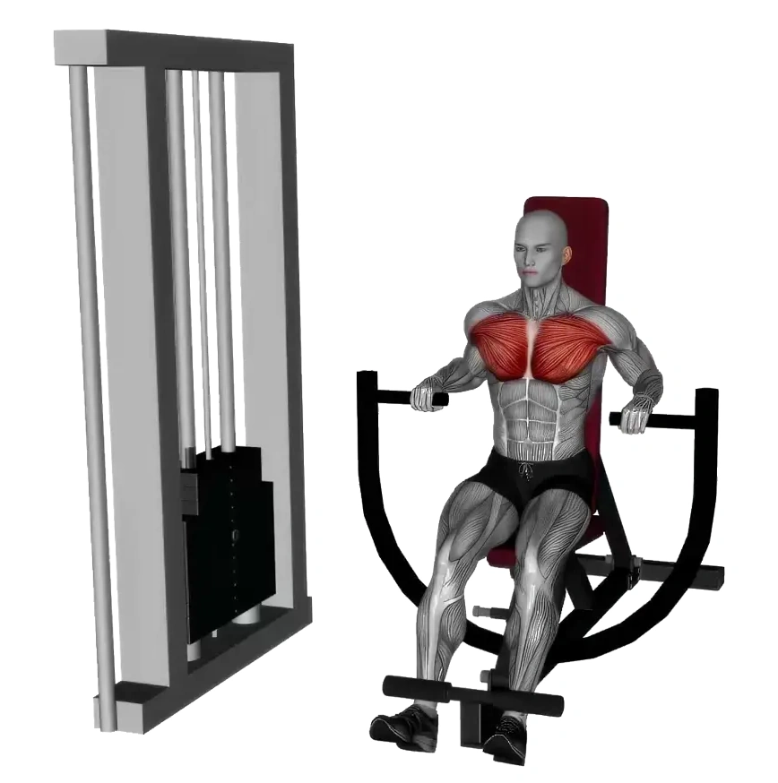Machine Chest Press Decline &mdash; animated demonstration