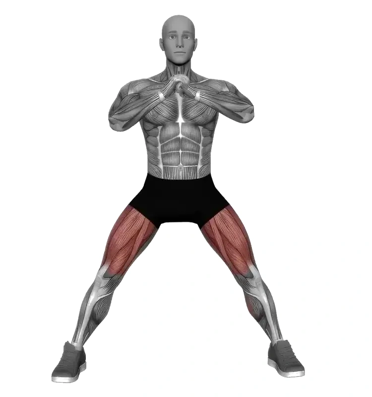 Cossack Squat &mdash; animated demonstration