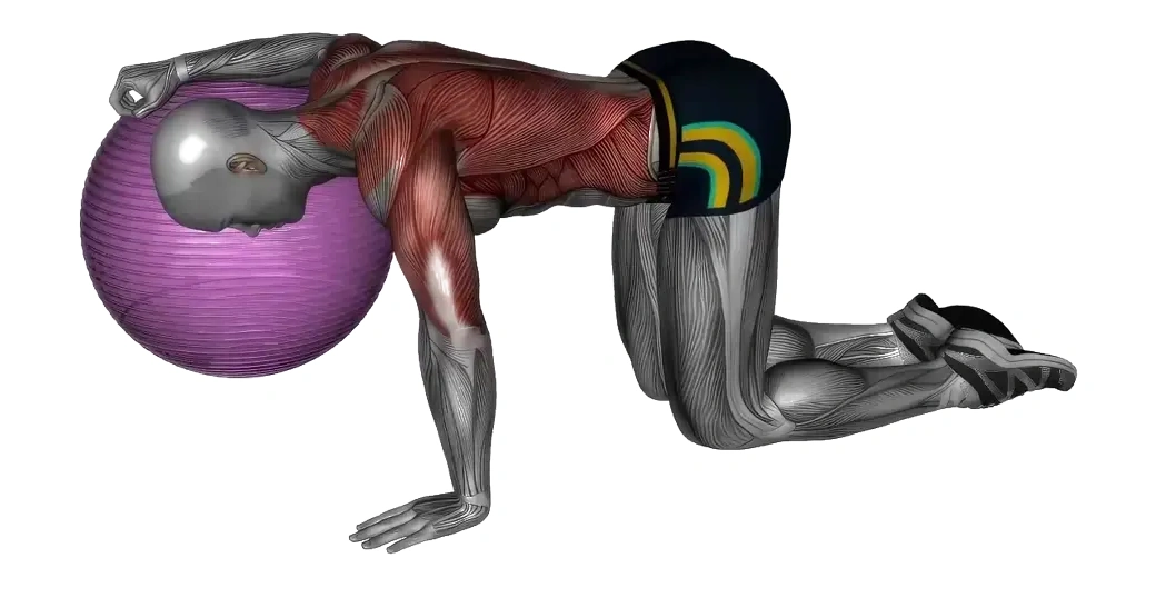 Chest Stretch with Exercise Ball &mdash; animated demonstration