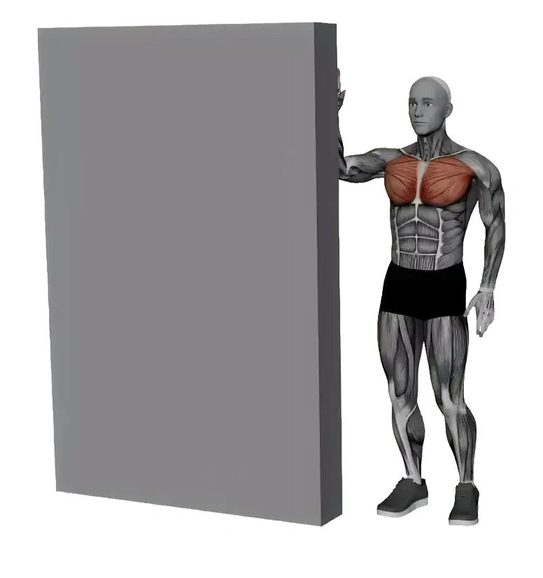 Side Chest Stretch On Wall — animated demonstration