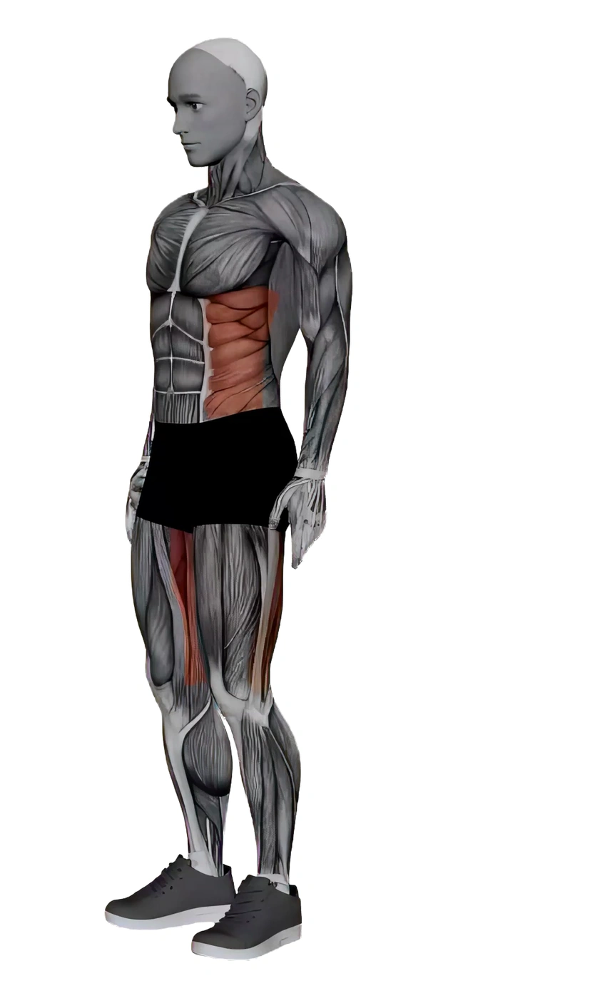Revolved Side Angle Pose With Prayer Hands — animated demonstration