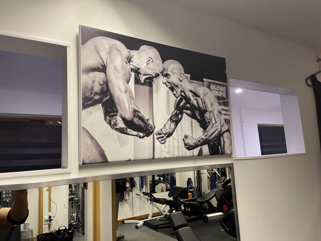 Private PT studio — free weights