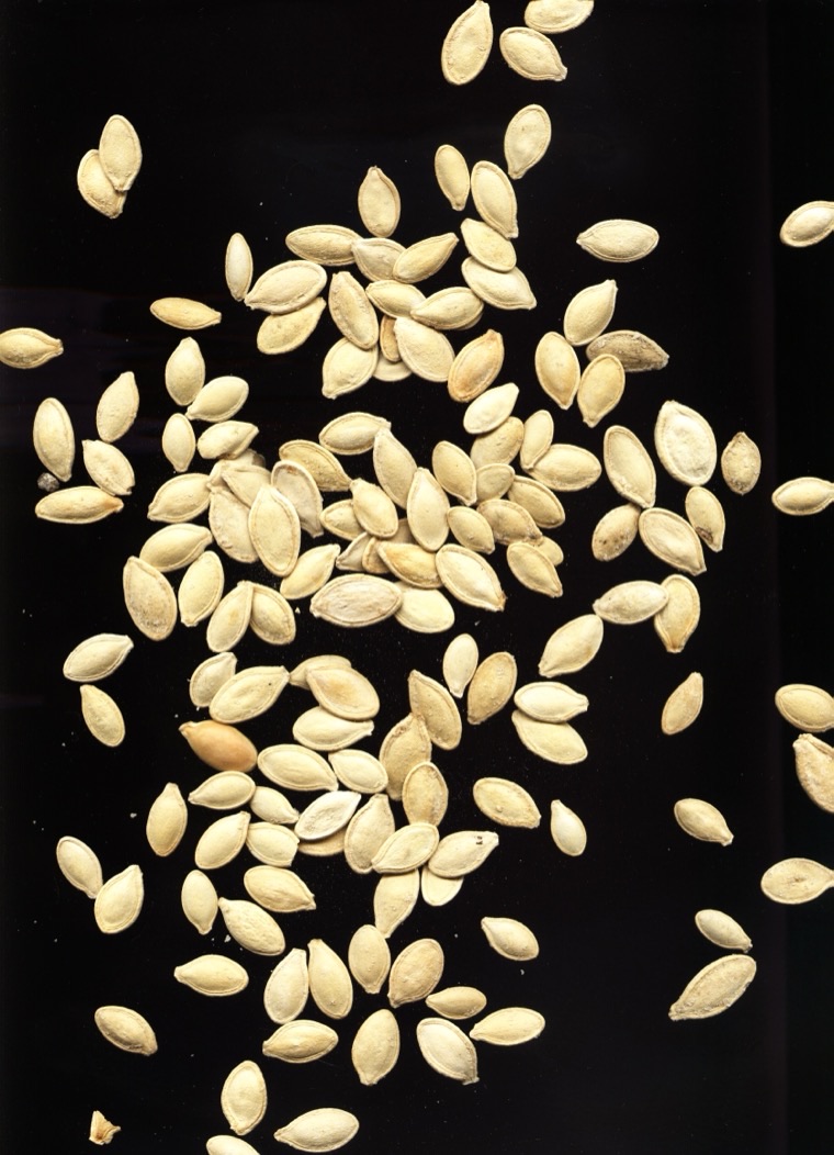 Pale pumpkin seeds scattered on a dark surface