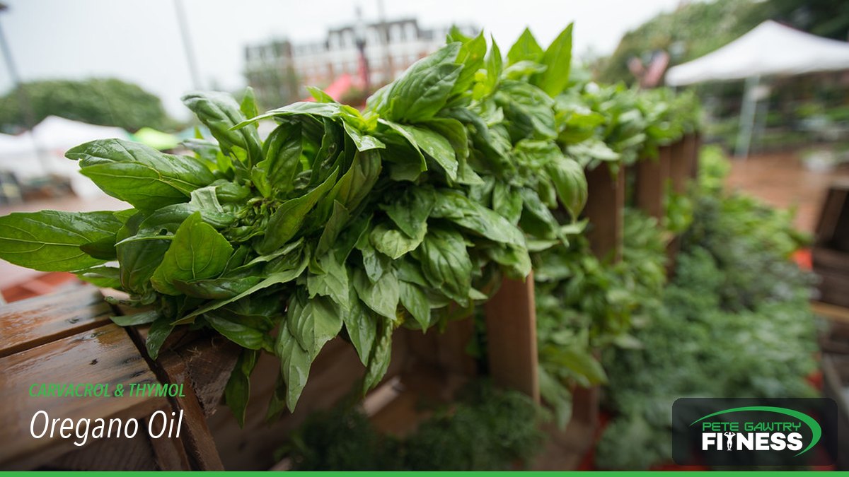 Oregano oil โ carvacrol and thymol