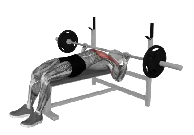 Animated exercise demonstration playing in the Pete Gawtry Fitness app