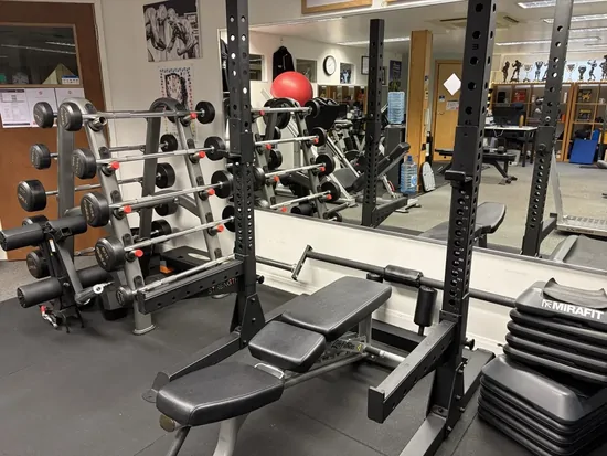 Squat rack, bench and loaded barbells in Pete Gawtry&rsquo;s private studio