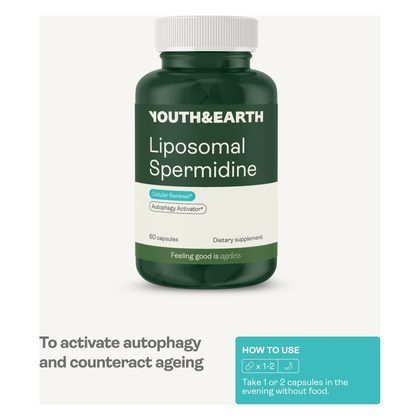 Liposomal Spermidine
