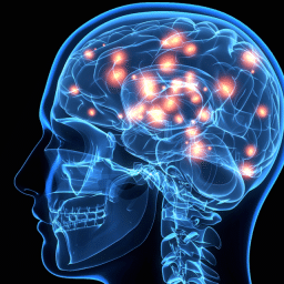 Brainhealth-960×640