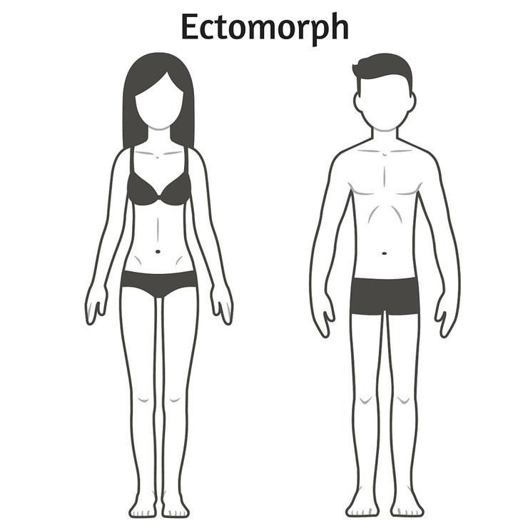 Ectomorph 1 1515613864